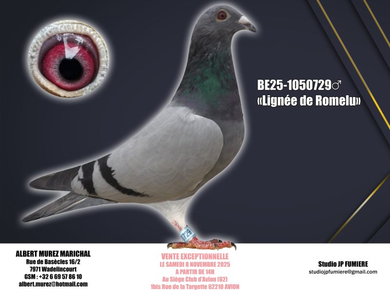 15. BE-1050729-2025 _ Albert Murez