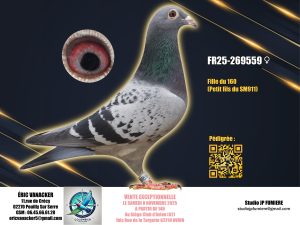 17. FR-269559-2025 _ Eric Vanacker