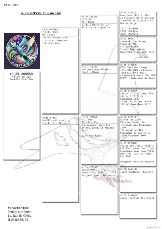Pigeonn17 pédigrée