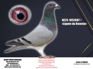 18. BE-1052687-2025 _ Albert Murez