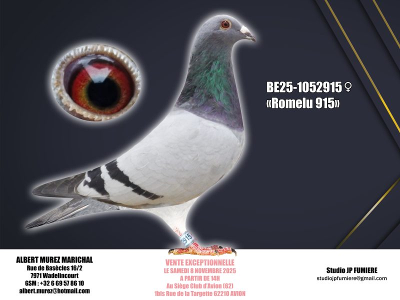 21. BE-1052915-2025 _ Albert Murez