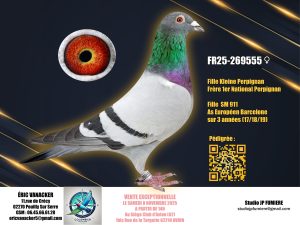 23.FR-269555-2025 _ Eric Vanacker