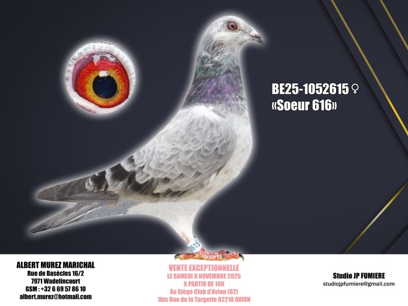 24. BE-1052615-2025 _ Albert Murez