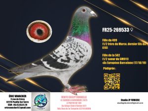 26. FR-269533-2025 _ Eric Vanacker