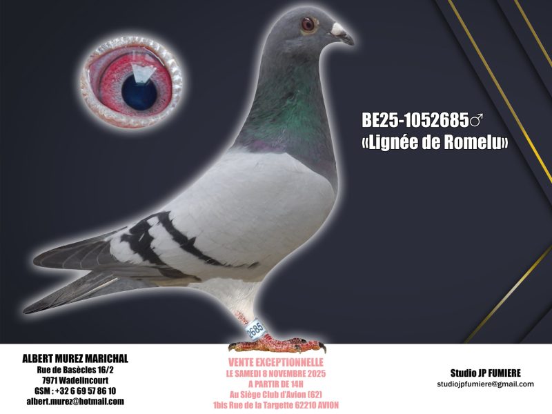 27. BE-1052685-2025 _ Albert Murez