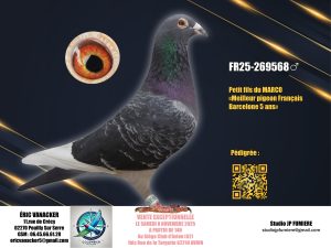 2. FR-269568-2025 _ Eric Vanacker