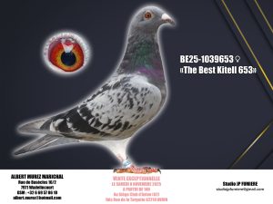 3. BE-1039653-2025 _ Albert Murez