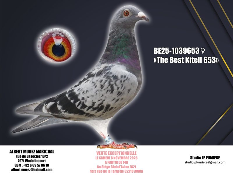 3. BE-1039653-2025 _ Albert Murez