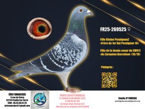 5. FR-269525-2025 _ Eric Vanacker