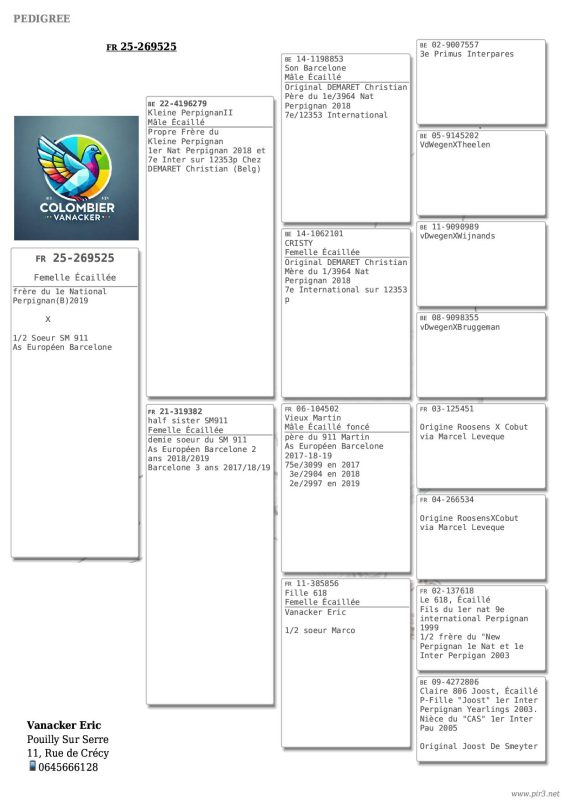 Pigeonn5 pedigree