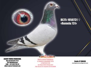 6. BE-1050731-2025 _ Albert Murez