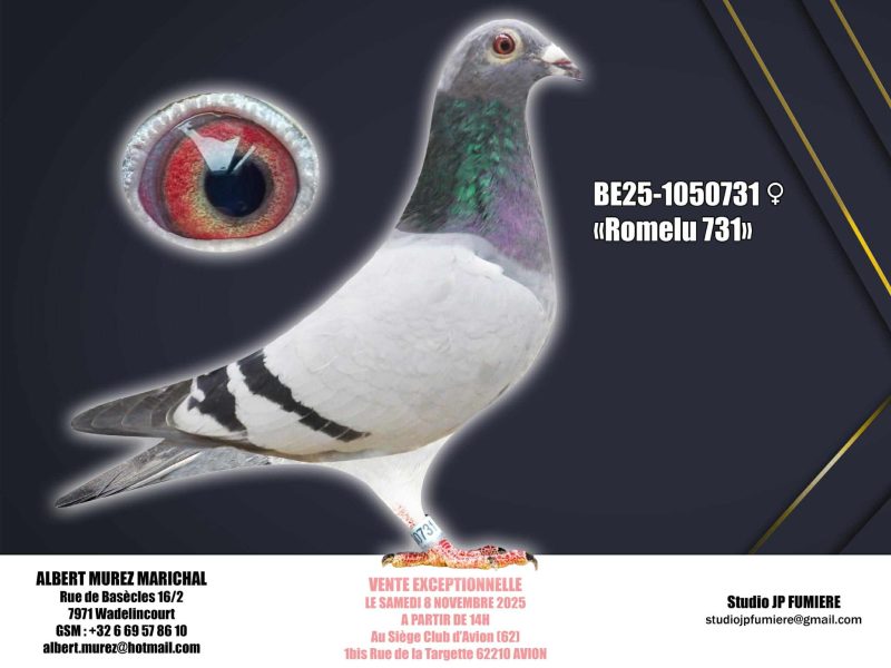 6. BE-1050731-2025 _ Albert Murez