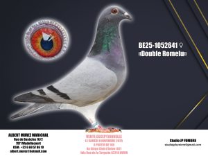 9. BE-1052641-2025 _ Albert Murez