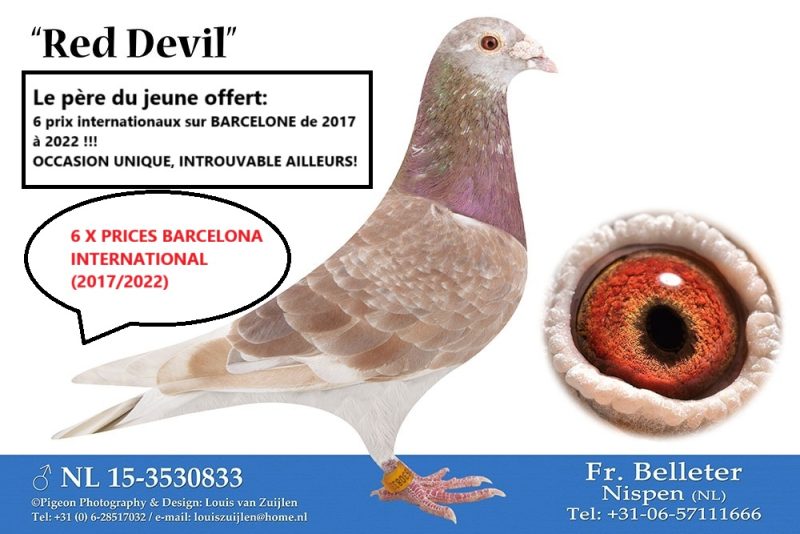 Red devil 1357310