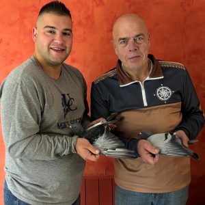 Vente : Colombier TANTART P&F