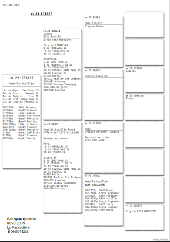 Bourgoin quentin ped 