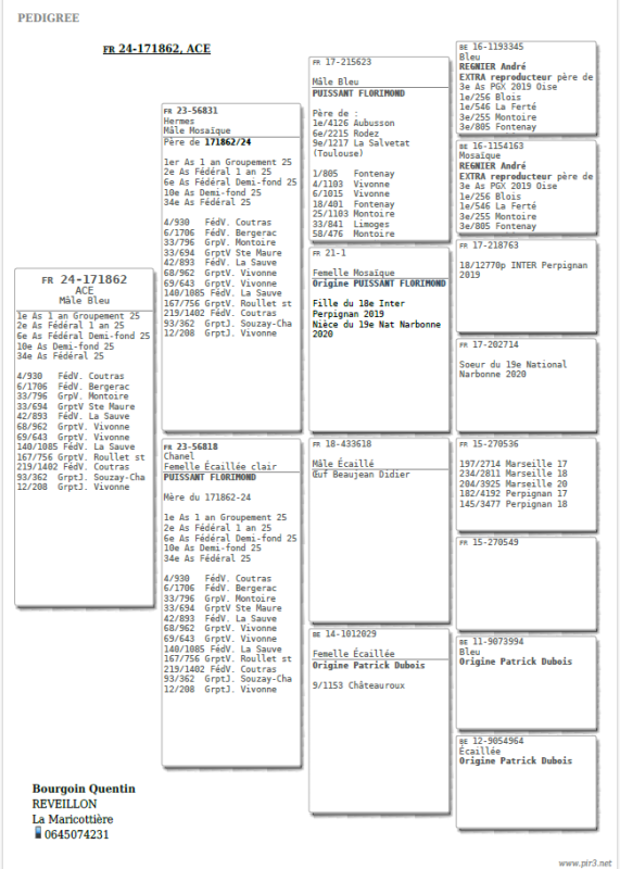 Bourgoin quentin ped