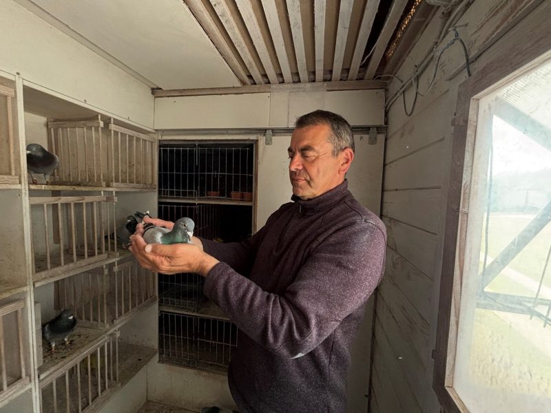 N° 25 : Pascal CHAUVEAU