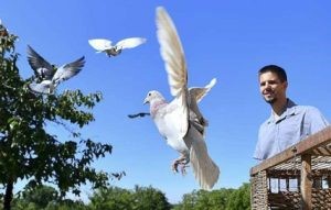 N° 27 : Julien CHEDHOMME