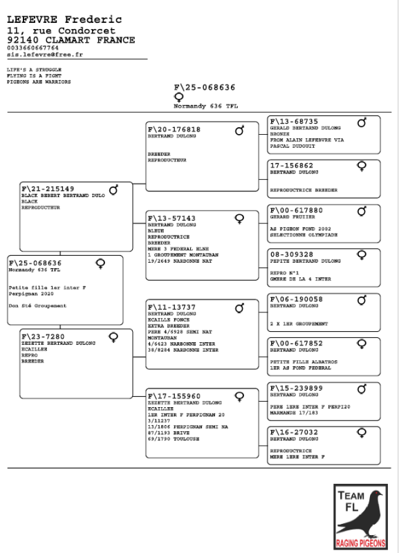Dooleaghe michel ped lefevre