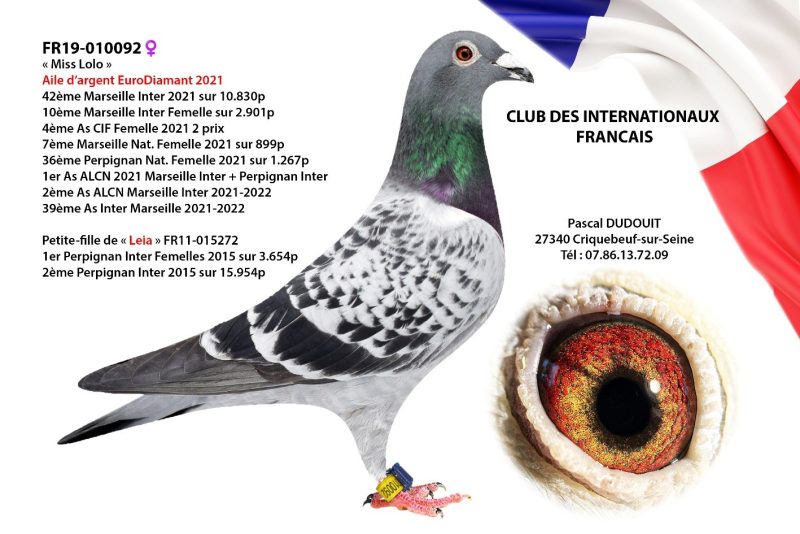 Dudouit pascal cif 19 010092