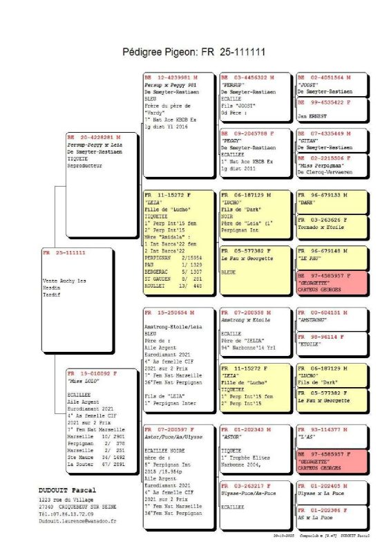 Dudouit pascal pedigree