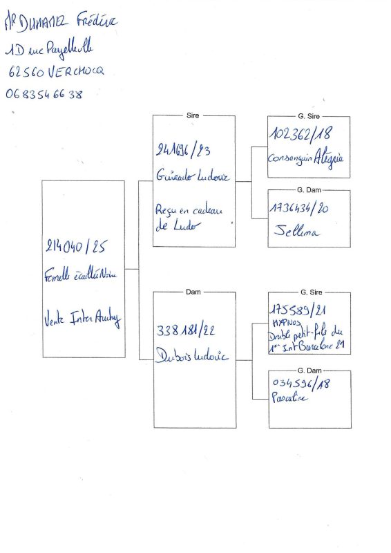 Duhamel vente inter n5