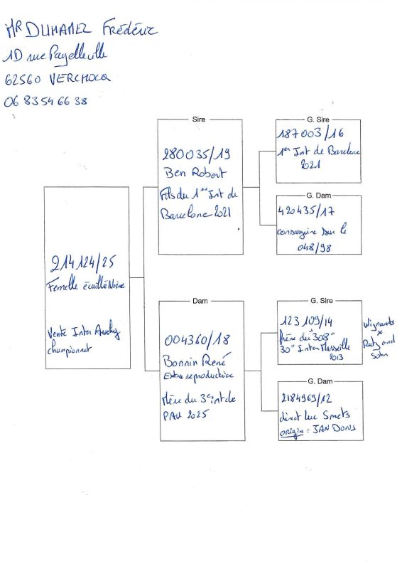 Duhamel vente championnat inter n20