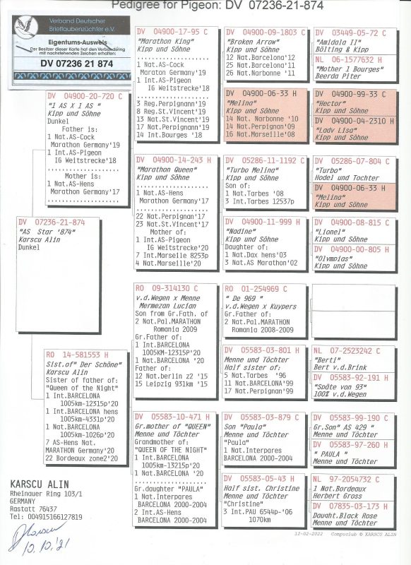 Dv07236 21 874 karscu