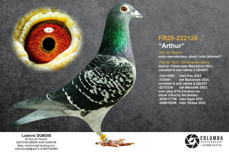 Dubois l fr20 222126 pere bon n4