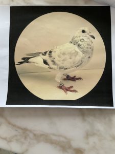 N° 16 : ERNST&SOHNE