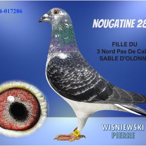 Fr24 017286 blue(nougatine286)