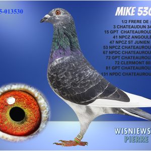 Fr25 013530 blue(mike)