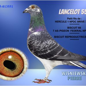 Fr25 013551 2blue(lancelot551)