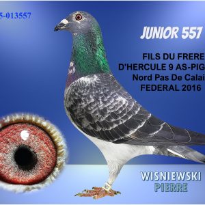Fr25 013557 blue junior 