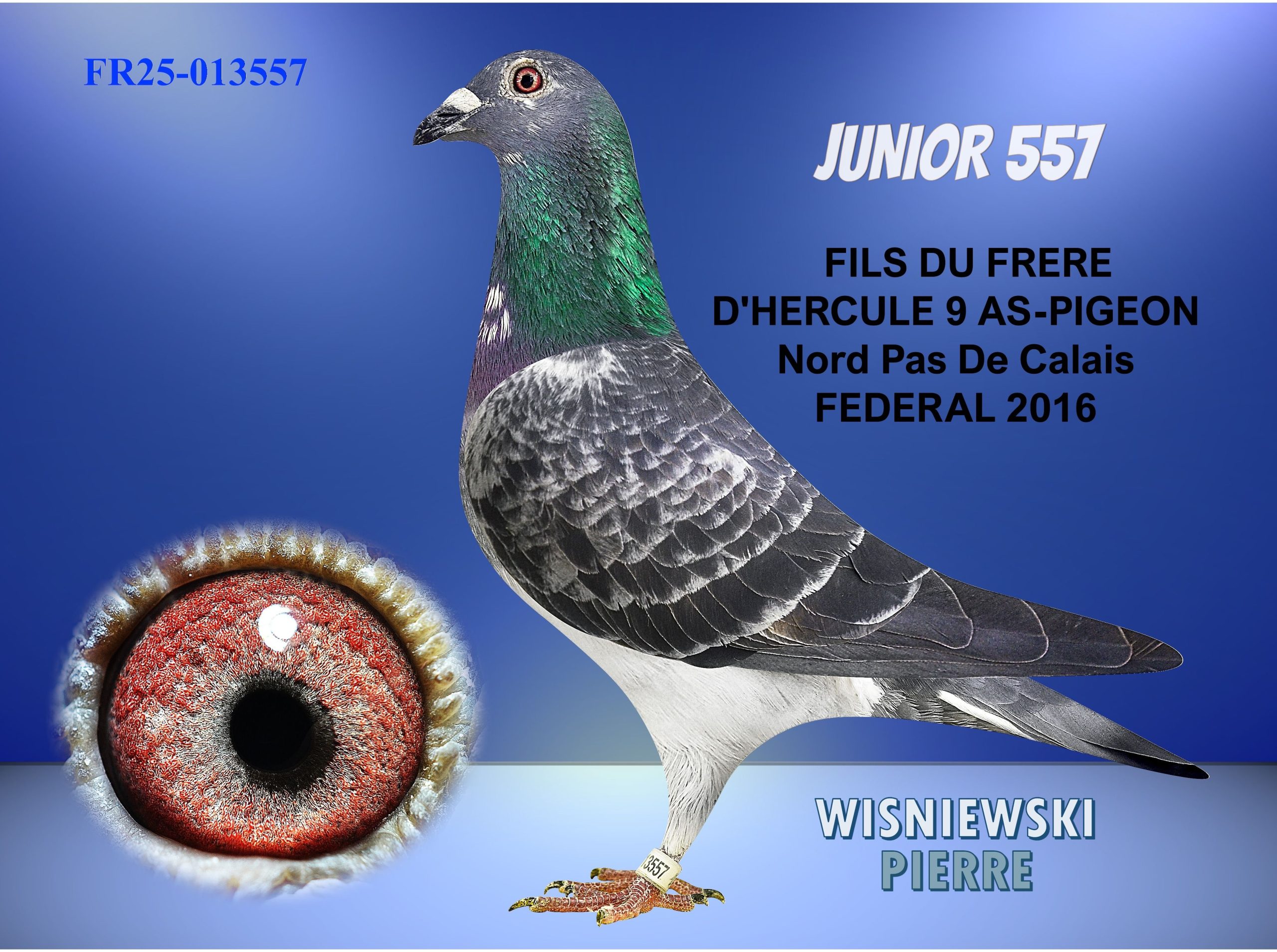 Fr25 013557 blue junior