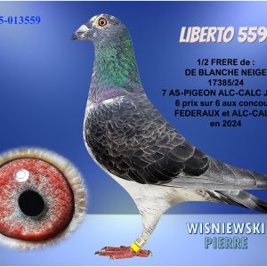 Fr25 013559 blue(liberto559)