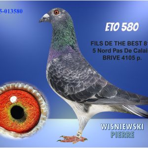 Fr25 013580 blue(eto580)