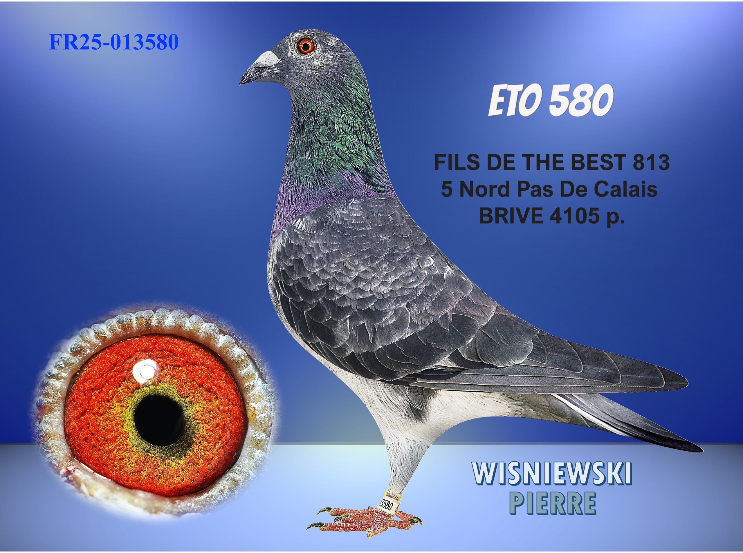 Fr25 013580 blue(eto580)