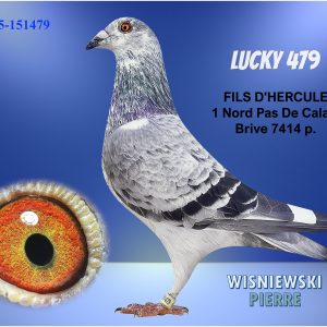 Fr25 151479 luckyblue(1)