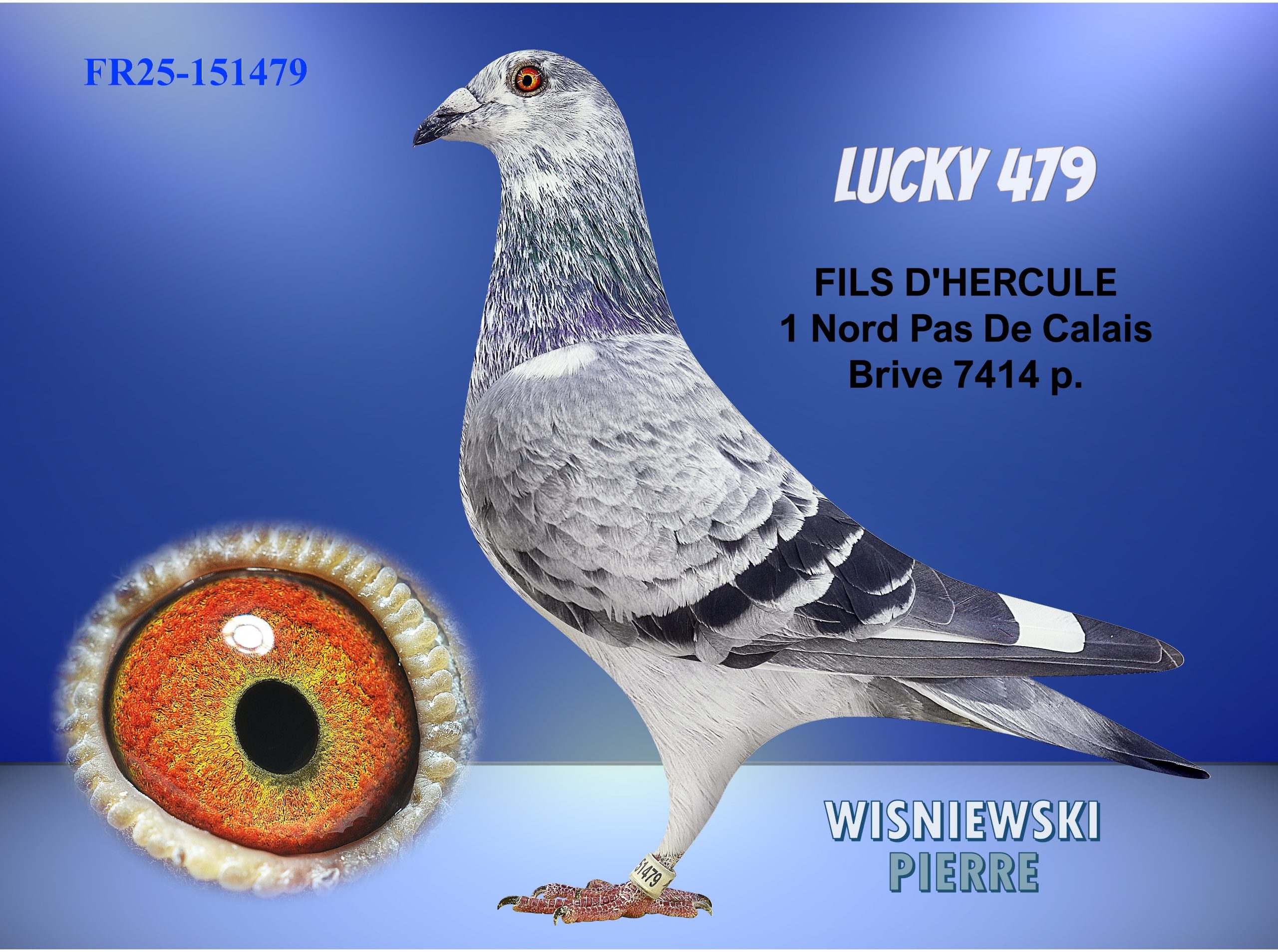 Fr25 151479 luckyblue(1)