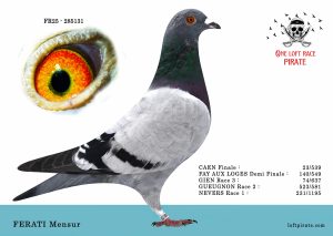 N° 1 : 25-285131 F – MENSUR Ferati