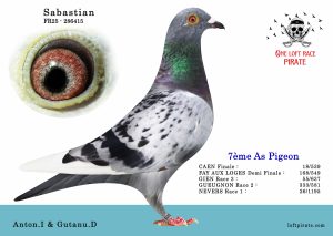 N° 3 : 25-286415 F – Anton I. & Gutanu D.