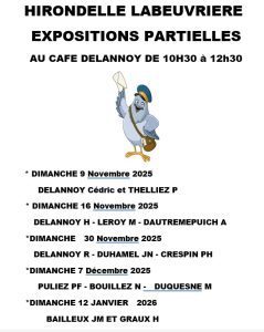 Hirondelle de LABEUVRIERE