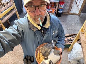 N° 10 : Fred LEFEVRE