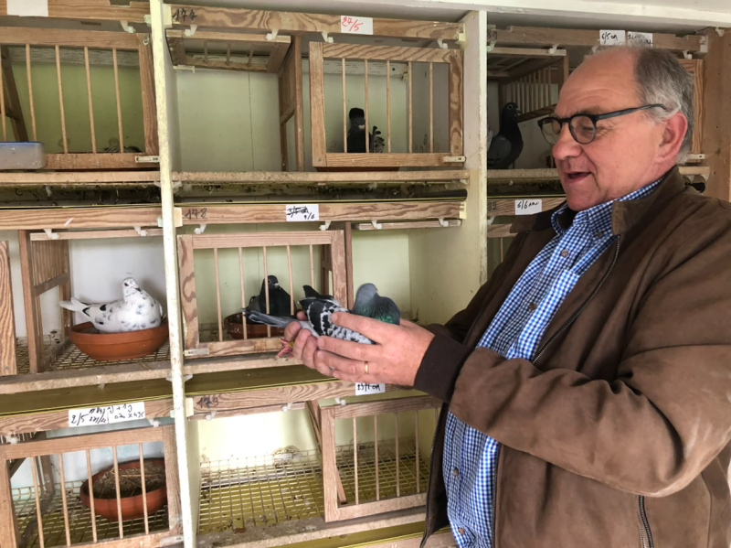 N° 5 : Franck MENEZ