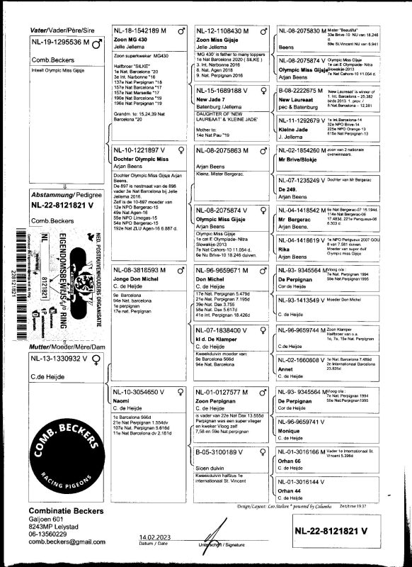 Nl 22 8121821 mg naomi