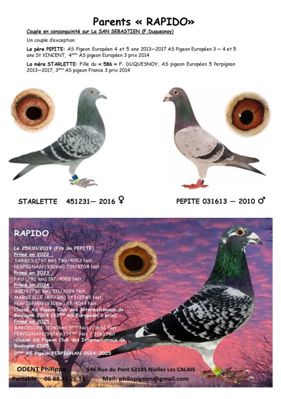 Odent parents rapido