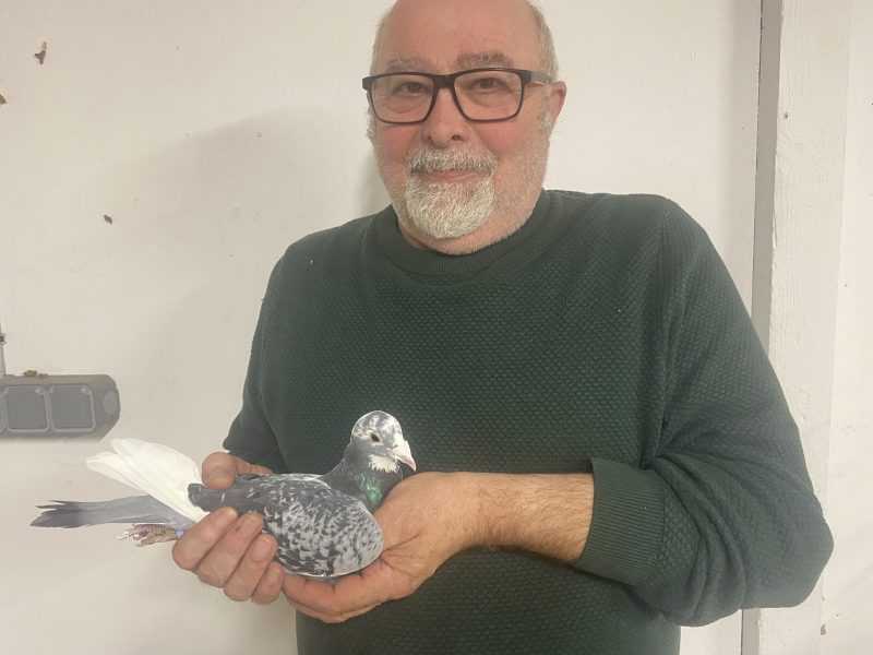 N° 14 : Pascal PLOUVIEZ