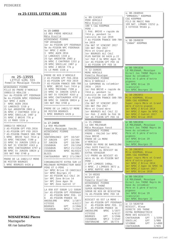 Pedigree 25 13555(1)